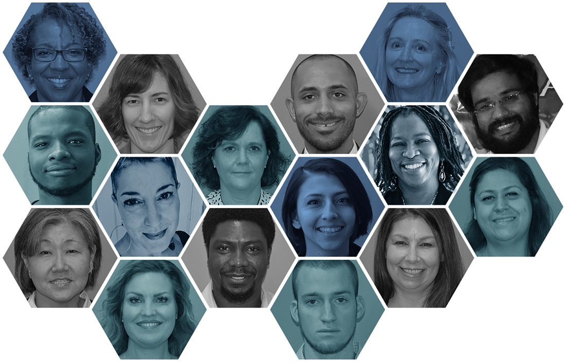 CEA Diversity, Inclusion and Belonging Advisory Council (DIB